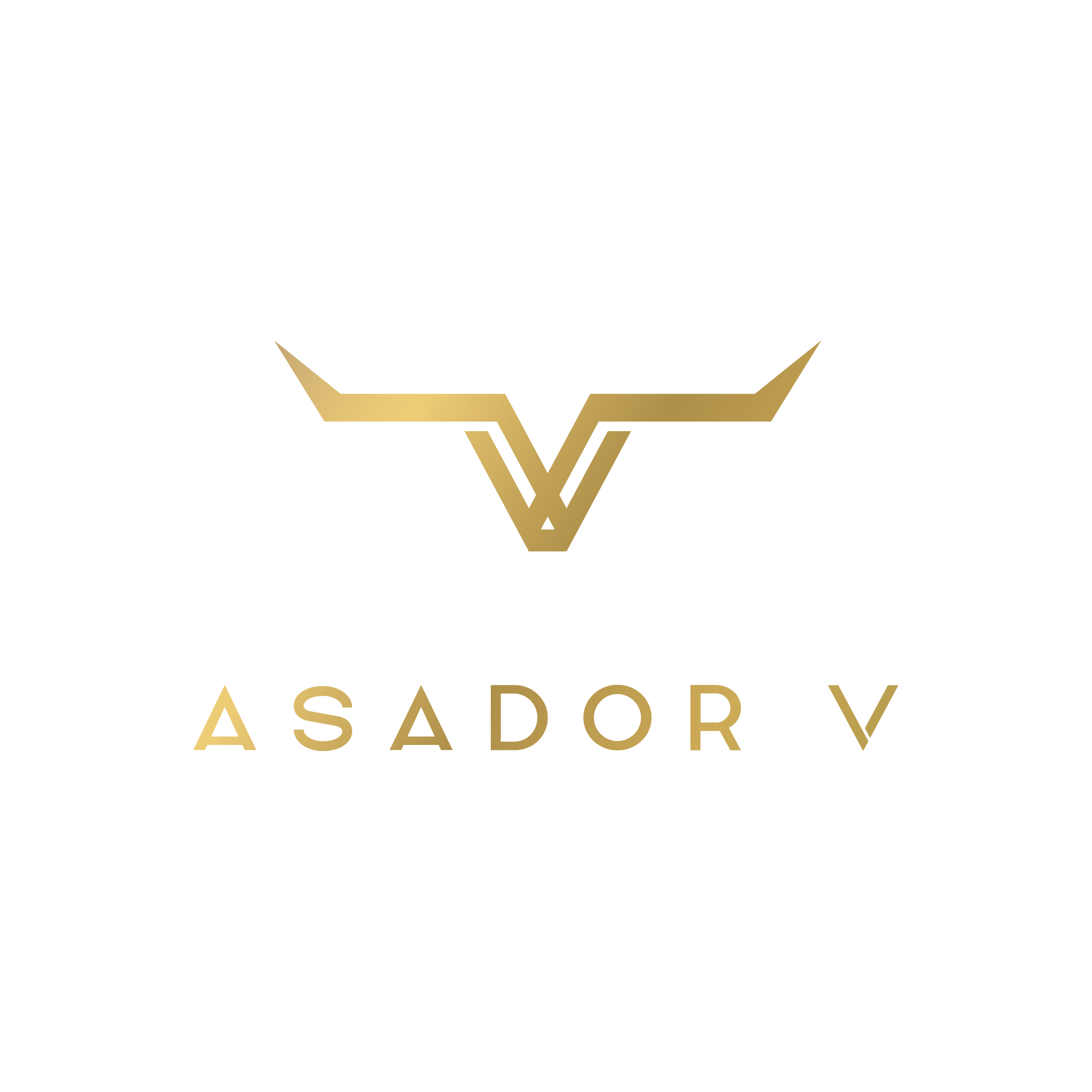 Asador V